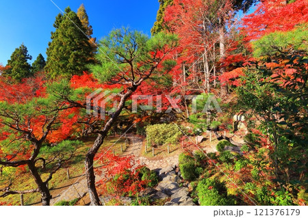 【滋賀県】晴天の百済寺の本坊庭園の紅葉 121376179