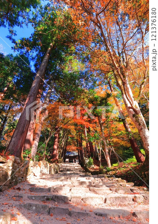 【滋賀県】晴天の百済寺の紅葉 121376180