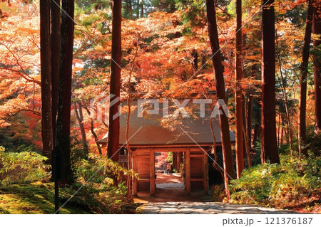 【滋賀県】晴天の百済寺の仁王門と紅葉 121376187