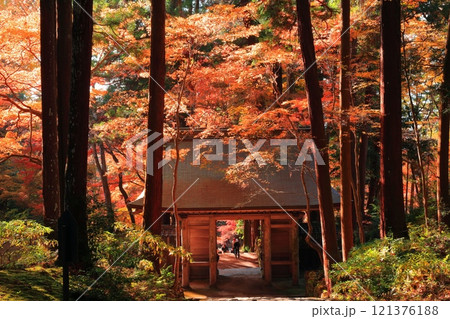 【滋賀県】晴天の百済寺の仁王門と紅葉 【滋賀県】晴天の百済寺の仁王門と紅葉 121376188