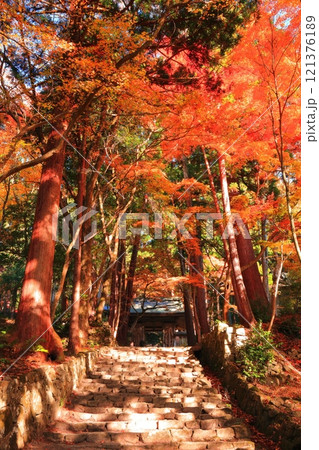 【滋賀県】晴天の百済寺の仁王門と紅葉 【滋賀県】晴天の百済寺の仁王門と紅葉 121376189