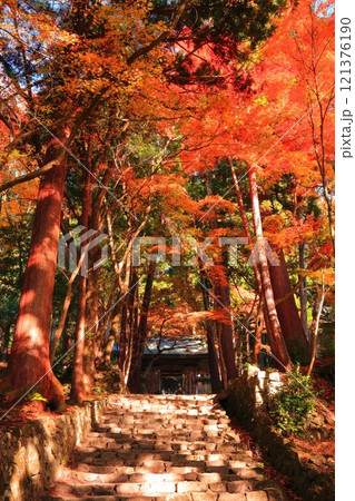 【滋賀県】晴天の百済寺の仁王門と紅葉 121376190