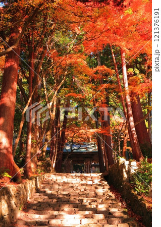【滋賀県】晴天の百済寺の仁王門と紅葉 121376191
