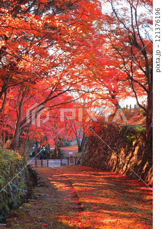 【滋賀県】晴天の百済寺の参道と紅葉 121376196