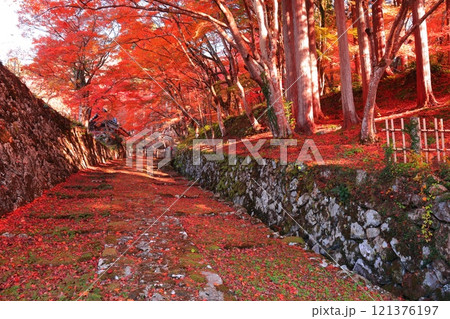 【滋賀県】晴天の百済寺の参道と紅葉 121376197