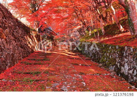 【滋賀県】晴天の百済寺の参道と紅葉 121376198