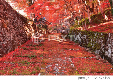 【滋賀県】晴天の百済寺の参道と紅葉 【滋賀県】晴天の百済寺の参道と紅葉 121376199