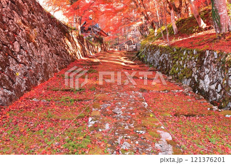 【滋賀県】晴天の百済寺の参道と紅葉 【滋賀県】晴天の百済寺の参道と紅葉 121376201