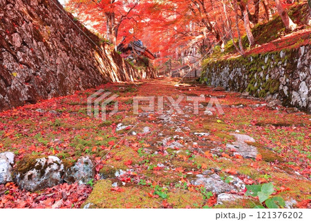【滋賀県】晴天の百済寺の参道と紅葉 121376202