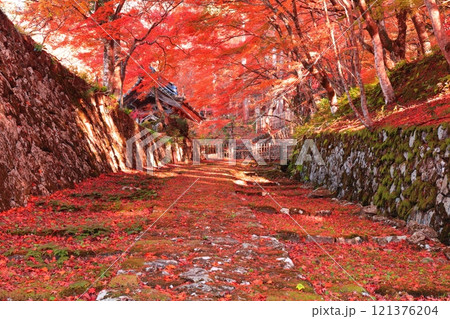 【滋賀県】晴天の百済寺の参道と紅葉 121376204