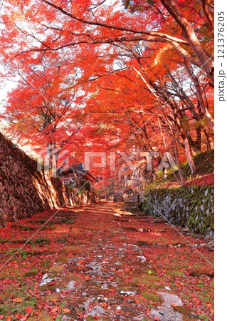 【滋賀県】晴天の百済寺の参道と紅葉 【滋賀県】晴天の百済寺の参道と紅葉 121376205