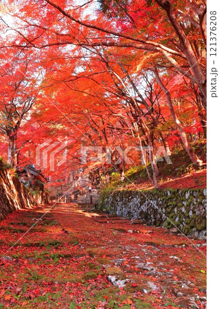 【滋賀県】晴天の百済寺の参道と紅葉 121376208
