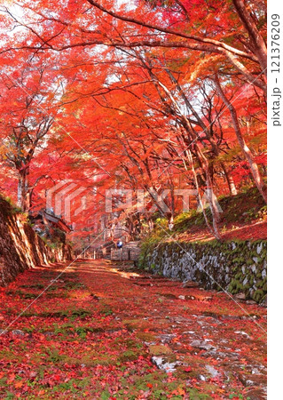 【滋賀県】晴天の百済寺の参道と紅葉 【滋賀県】晴天の百済寺の参道と紅葉 121376209