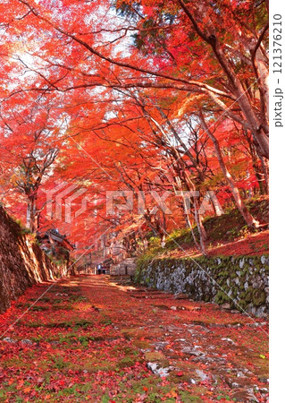 【滋賀県】晴天の百済寺の参道と紅葉 【滋賀県】晴天の百済寺の参道と紅葉 121376210