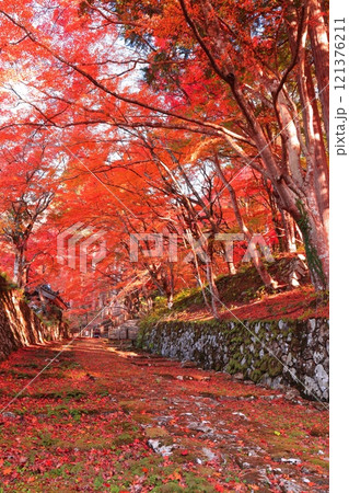 【滋賀県】晴天の百済寺の参道と紅葉 【滋賀県】晴天の百済寺の参道と紅葉 121376211