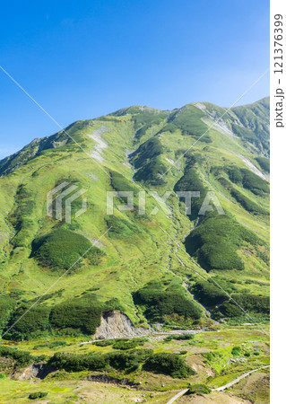 雷鳥荘から見る雷鳥沢と別山乗越　北アルプス劔岳登山 121376399