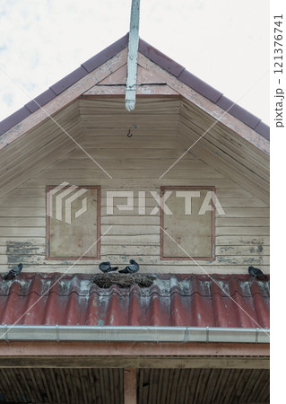 Pigeons and bird's nest placed on the cornice of a house at the roof. Pigeons and bird's nest placed on the cornice of a house at the roof. 121376741