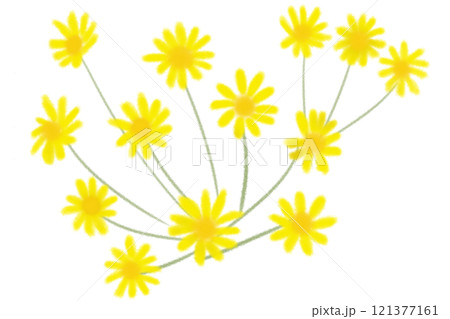 石蕗（ツワブキ）の花のカード1 121377161
