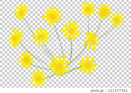 石蕗（ツワブキ）の花のカード1 121377161