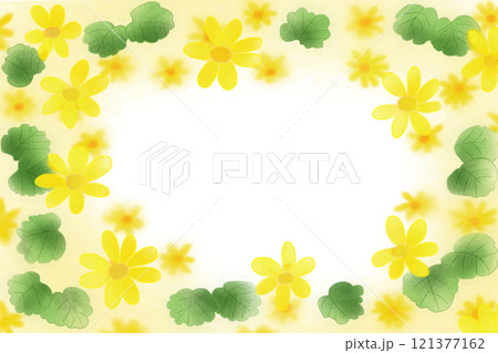 石蕗(ツワブキ)の花のカード2 石蕗(ツワブキ)の花のカード2 121377162