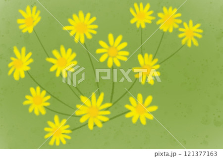 石蕗(ツワブキ)の花のカード3 石蕗(ツワブキ)の花のカード3 121377163