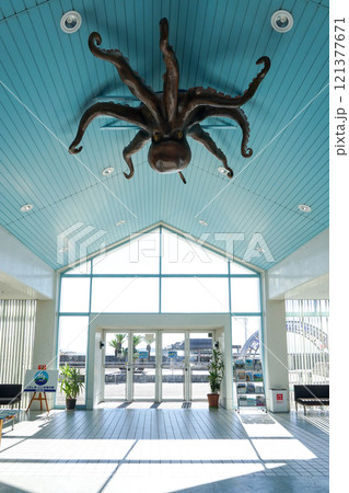 瀬戸内海の児島観光港(岡山県倉敷市) 121377671