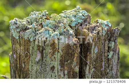 weather eroded post weather eroded post 121378406
