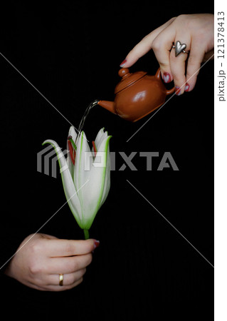 A whimsical teapot playfully watering a beautiful flower in a serene and charming way 121378413