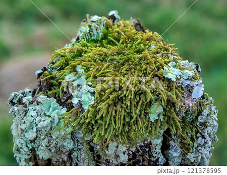 weather eroded post 121378595