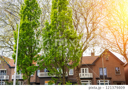 Dutch Suburban area with modern family houses, newly build modern family homes in the Netherlands, dutch family houses, and apartment houses. In the Netherlands, newly build streets with modern house 121379809