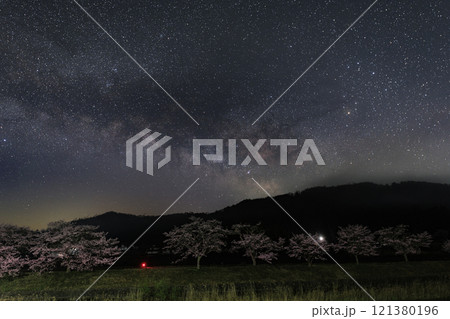 山里の春の星景色 桜並み木に昇る天の川 山里の春の星景色 桜並み木に昇る天の川 121380196