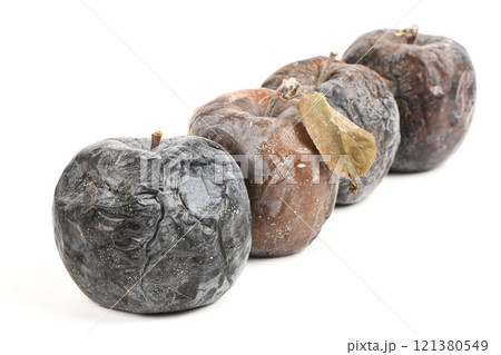 Mummified rotten apples. Rotten apples on white. Spoiled apples crop. Mummified rotten apples. Rotten apples on white. Spoiled apples crop. 121380549
