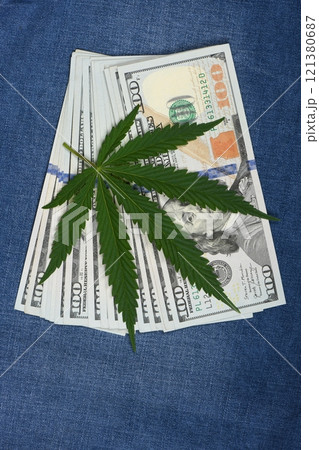 Hemp leaf in jeans background. Industrial hemp leaf on jeans fabric. Hemp leaf in jeans background. Industrial hemp leaf on jeans fabric. 121380687
