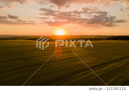 Aerial landscape view of yellow cultivated agricultural field with ripe wheat on vibrant summer evening Aerial landscape view of yellow cultivated agricultural field with ripe wheat on vibrant summer evening 121381118