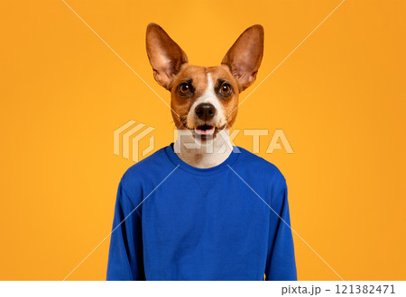 A brown and white dog with large ears is wearing a blue sweatshirt and is looking directly at the camera with its tongue sticking out. The dog is standing in front of a solid yellow background. A brown and white dog with large ears is wearing a blue sweatshirt and is looking directly at the camera with its tongue sticking out. The dog is standing in front of a solid yellow background. 121382471