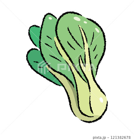手描きのチンゲン菜のイラスト2 121382678