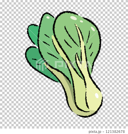 手描きのチンゲン菜のイラスト2 121382678