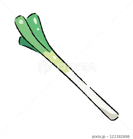手描きの長ネギのイラスト2 121382686