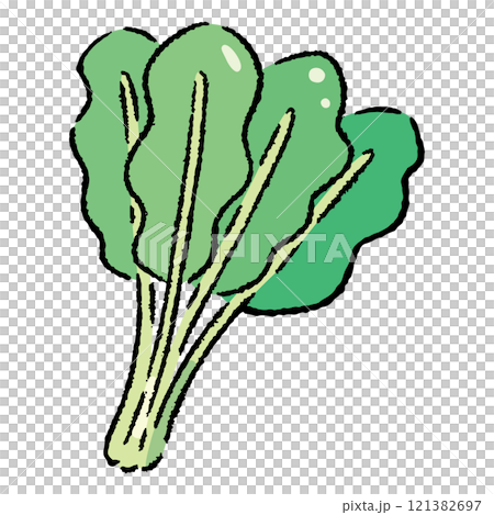 手繪菠菜插畫2 手繪菠菜插畫2 121382697