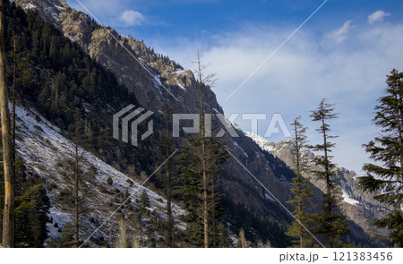 Wide-Angle Shot of a Mountainside with Evergreen Trees in Kalam, Pakistan Wide-Angle Shot of a Mountainside with Evergreen Trees in Kalam, Pakistan 121383456