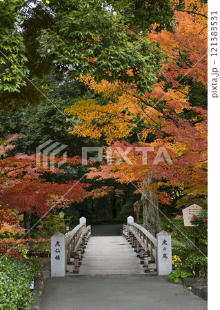 紅葉の徳川園 紅葉の徳川園 121383531