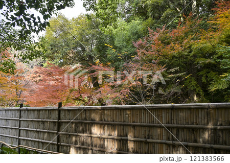 紅葉の徳川園 紅葉の徳川園 121383566