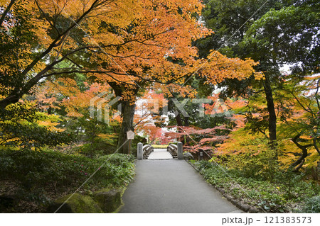 紅葉の徳川園 121383573
