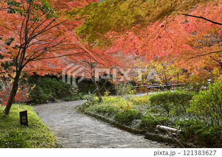 晩秋の徳川園 121383627