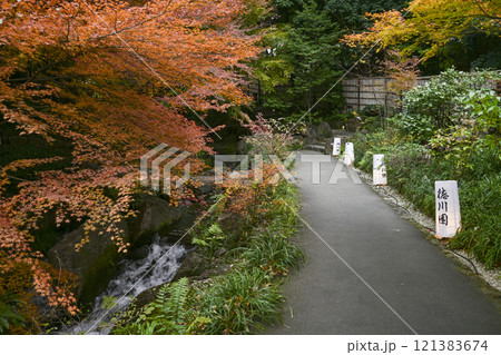 晩秋の徳川園 121383674