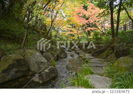 晩秋の徳川園 121383675