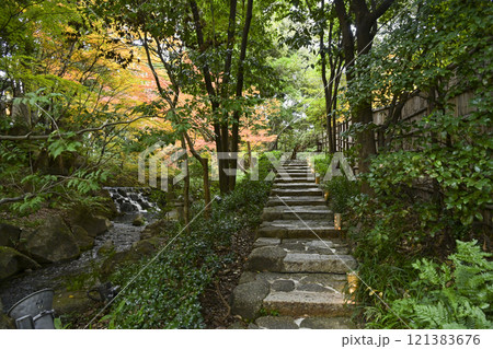 晩秋の徳川園 121383676