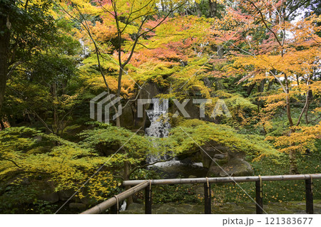 晩秋の徳川園 121383677