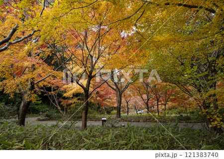 紅葉の徳川園 121383740
