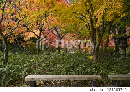 紅葉の徳川園 紅葉の徳川園 121383743